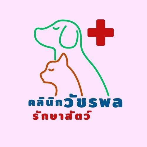 วัชรพล รักษาสัตว์ คลินิกทำหมันแมว บริการตรวจสุขภาพและทำความสะอาดร่างกาย