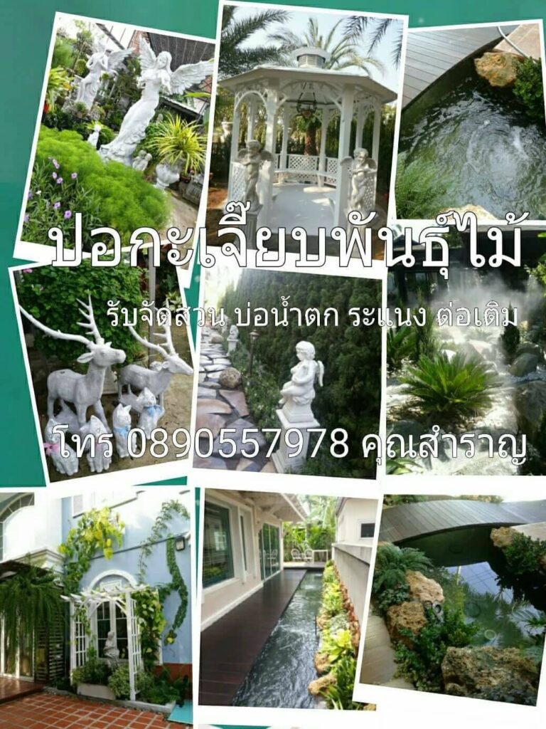 ปอกะเจี๊ยบพันธุ์ไม้ บริการรับจัดสวน นำเสนอทุกผลงานได้ตามรีวิวที่ระบุเอาไว้