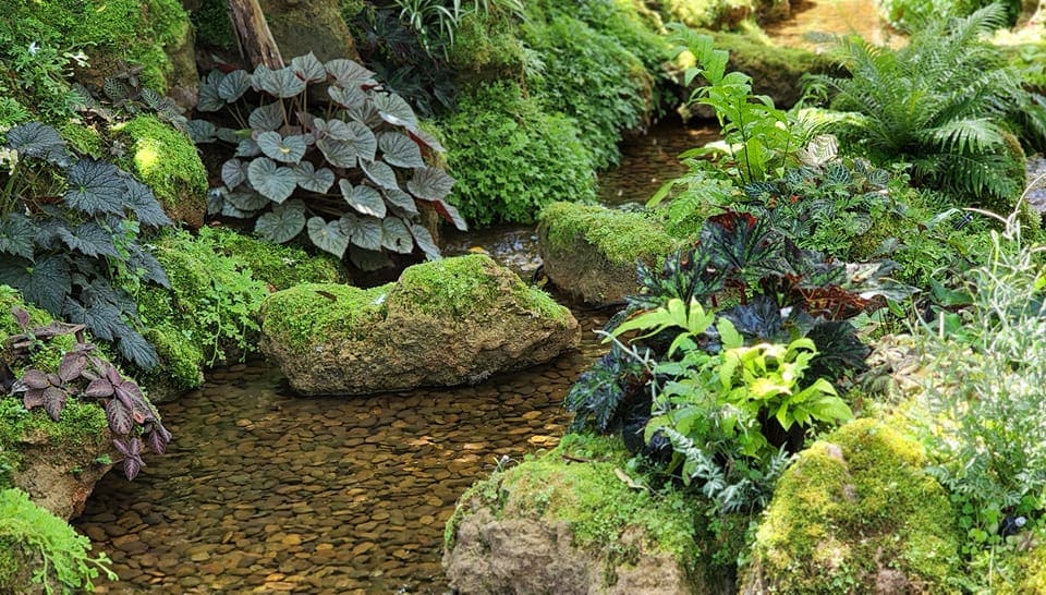 Punsuansai Garden Design บริการรับจัดสวน ปูหญ้า ทำน้ำตกเทียมให้ดูสบายตา