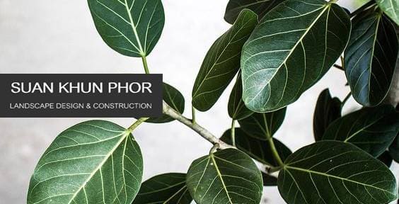 สวนคุณพ่อ Landscape design and construction บริการรับจัดสวน สร้างสภาพแวดล้อมชวนน่าหลงใหล